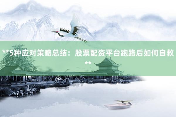 **5种应对策略总结：股票配资平台跑路后如何自救**