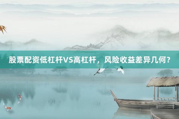 股票配资低杠杆VS高杠杆，风险收益差异几何？
