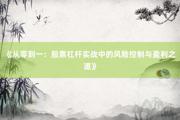 《从零到一：股票杠杆实战中的风险控制与盈利之道》