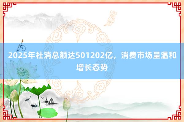 2025年社消总额达501202亿，消费市场呈温和增长态势
