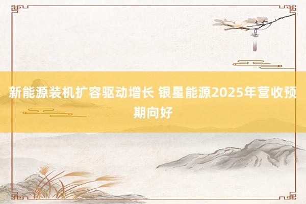 新能源装机扩容驱动增长 银星能源2025年营收预期向好