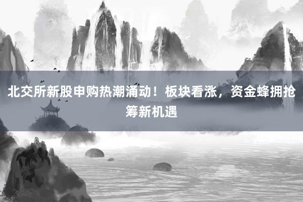 北交所新股申购热潮涌动！板块看涨，资金蜂拥抢筹新机遇